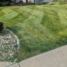 Grass Cutting